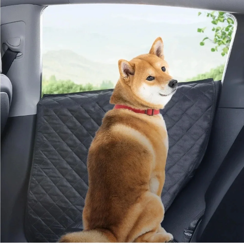🆕 EVMODS Car Door Protector for Tesla Model Y